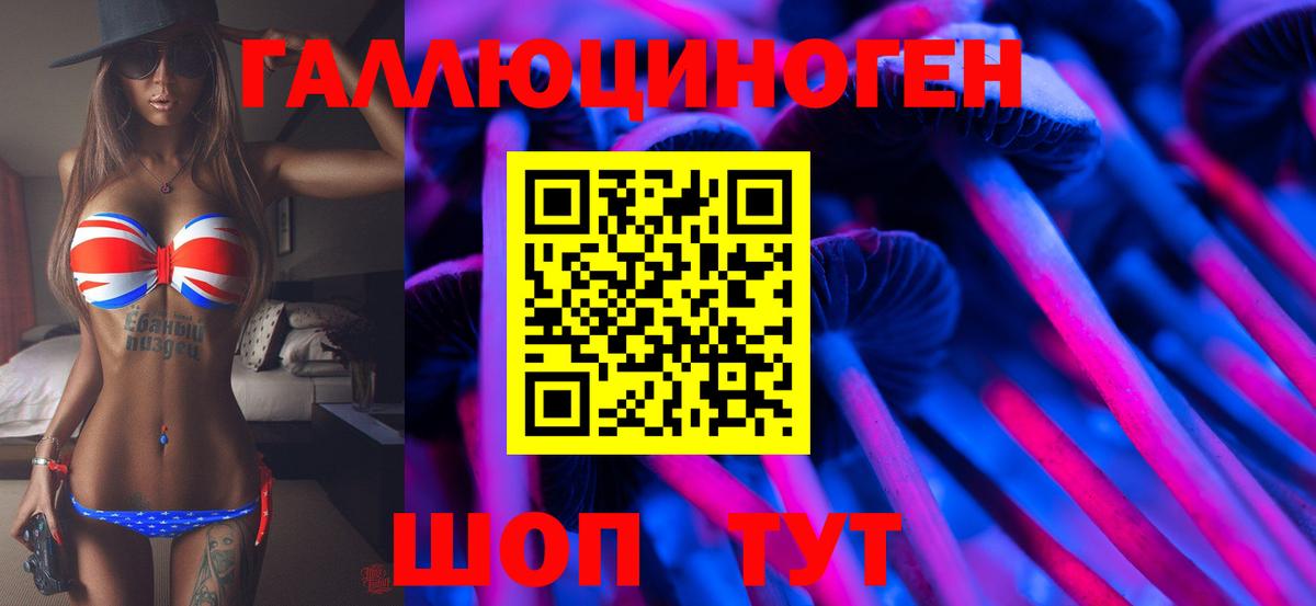 Ачинск  Псилоцибиновые грибы Cubensis  Вход с VPN 